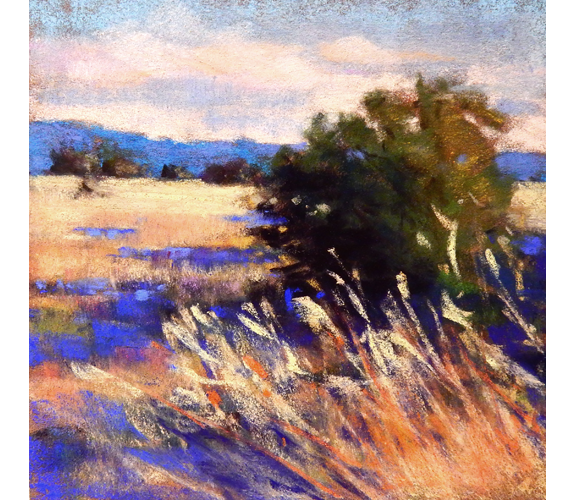 Deborah Henderson Pastel